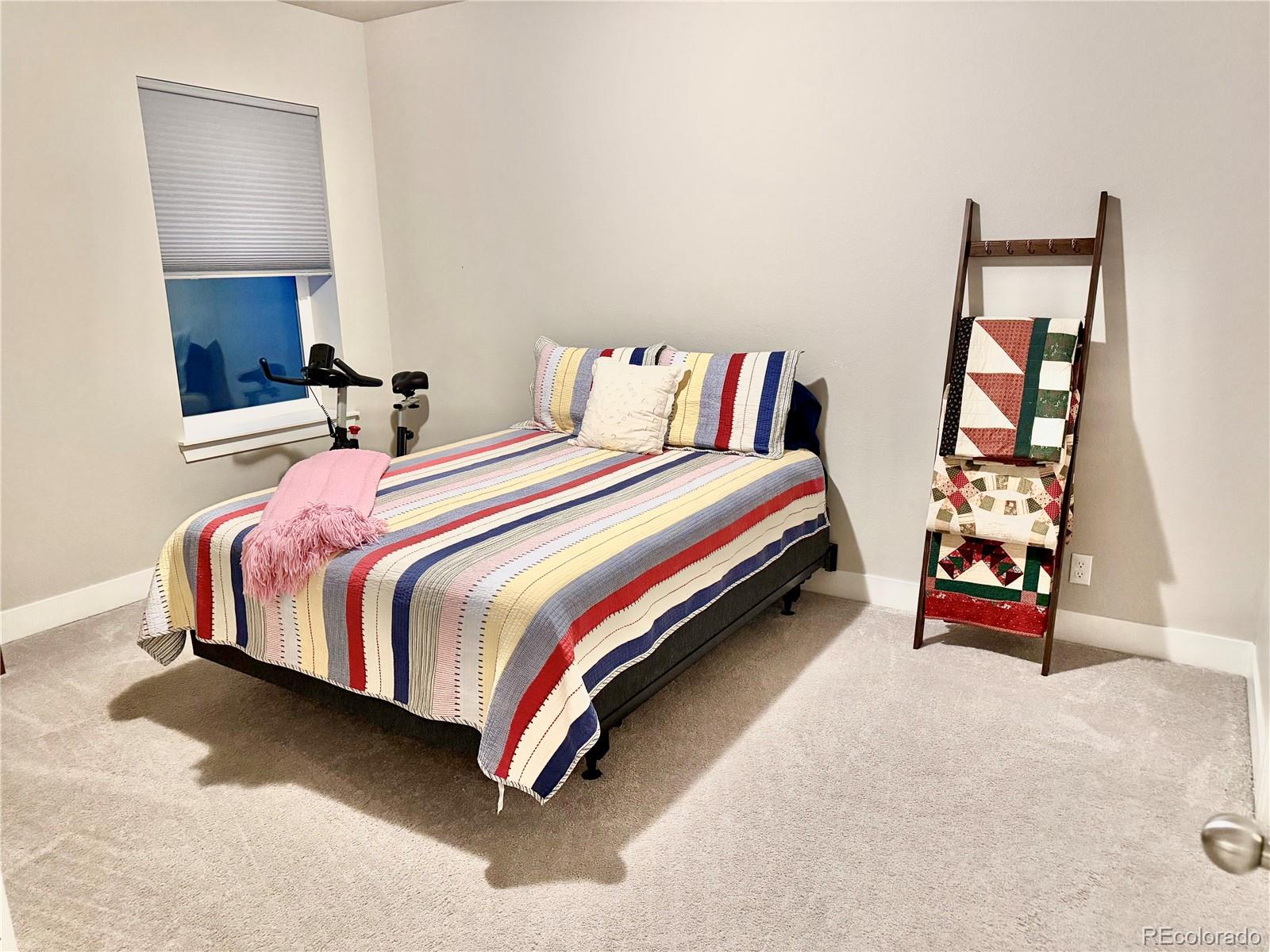 MLS Image #21 for 10350 e 57th place,denver, Colorado
