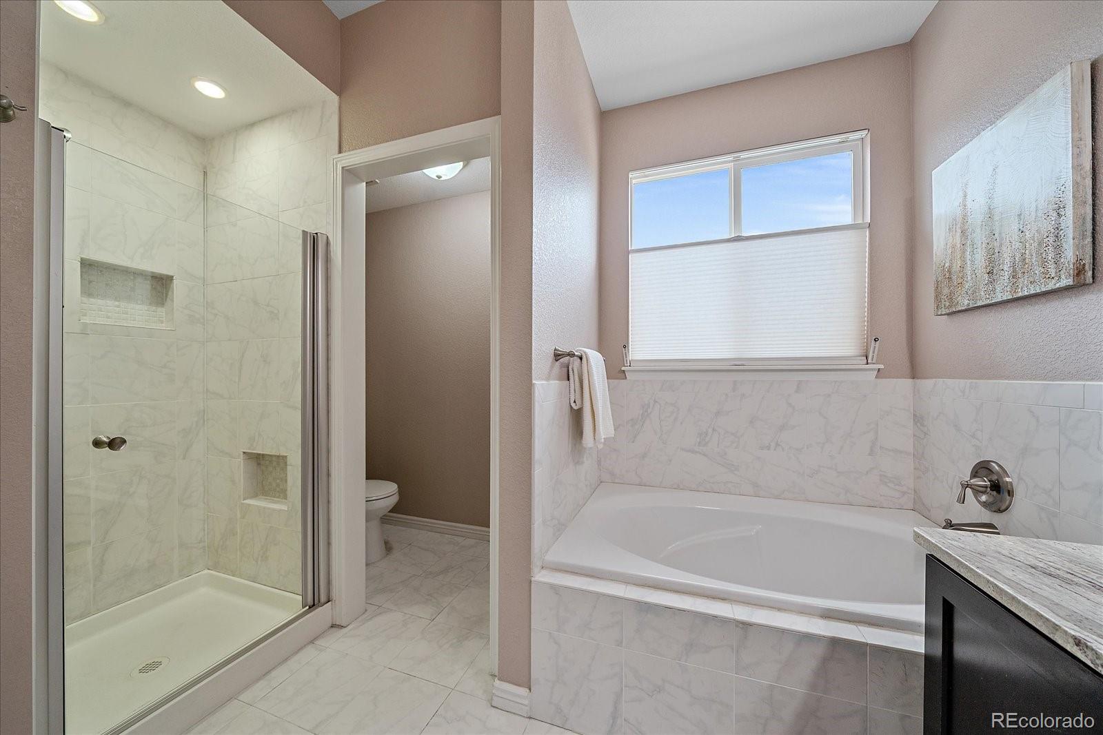 MLS Image #15 for 6448  silver mesa drive,highlands ranch, Colorado