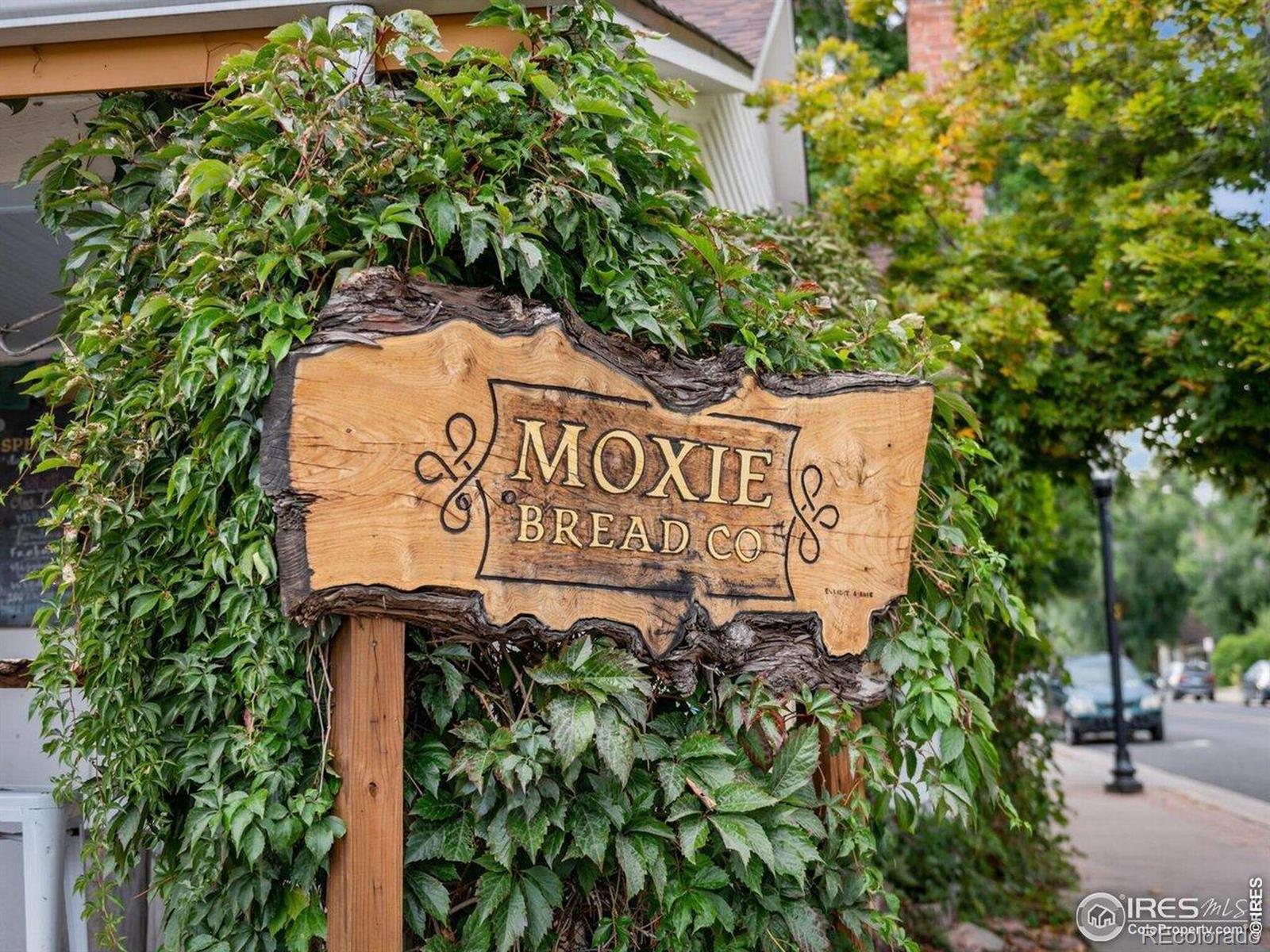 MLS Image #26 for 730 w willow street,louisville, Colorado