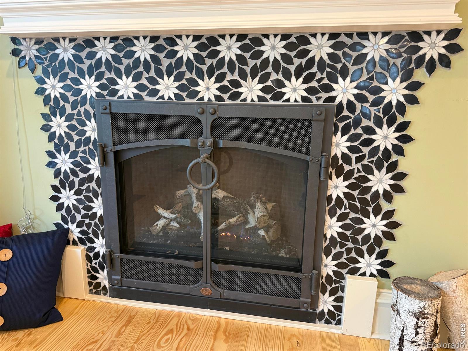 MLS Image #39 for 811  emery street,longmont, Colorado