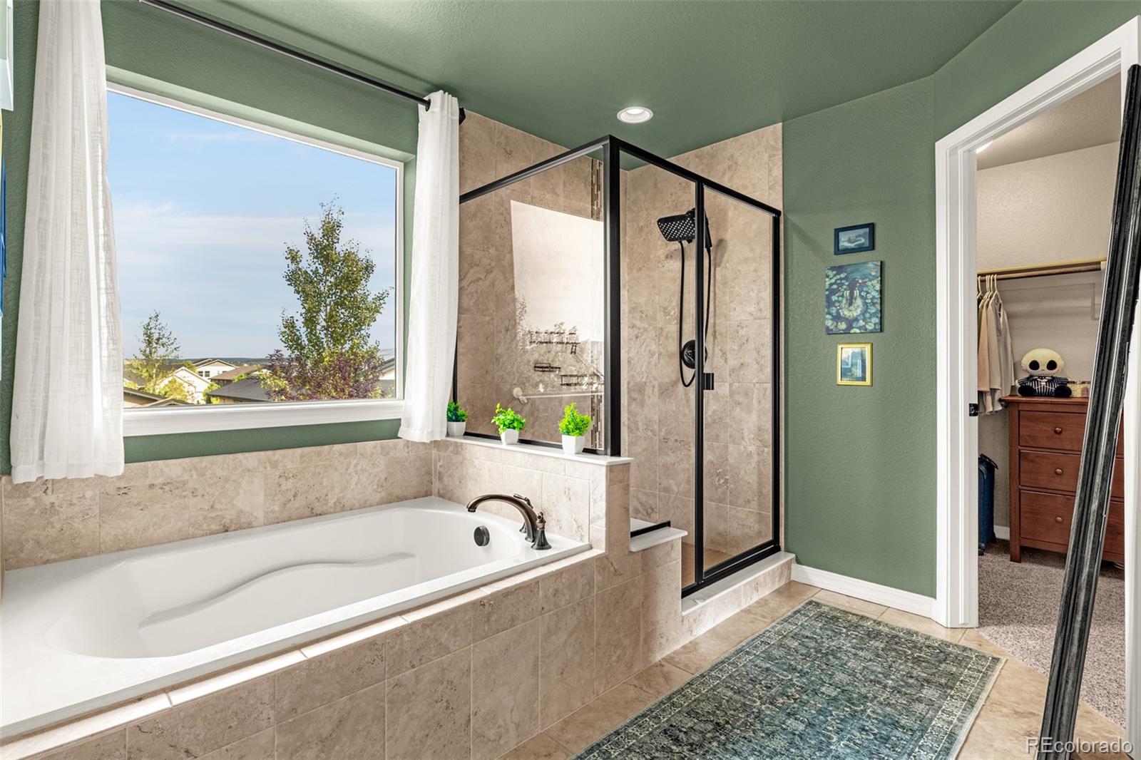 MLS Image #20 for 3218  daydreamer drive,colorado springs, Colorado