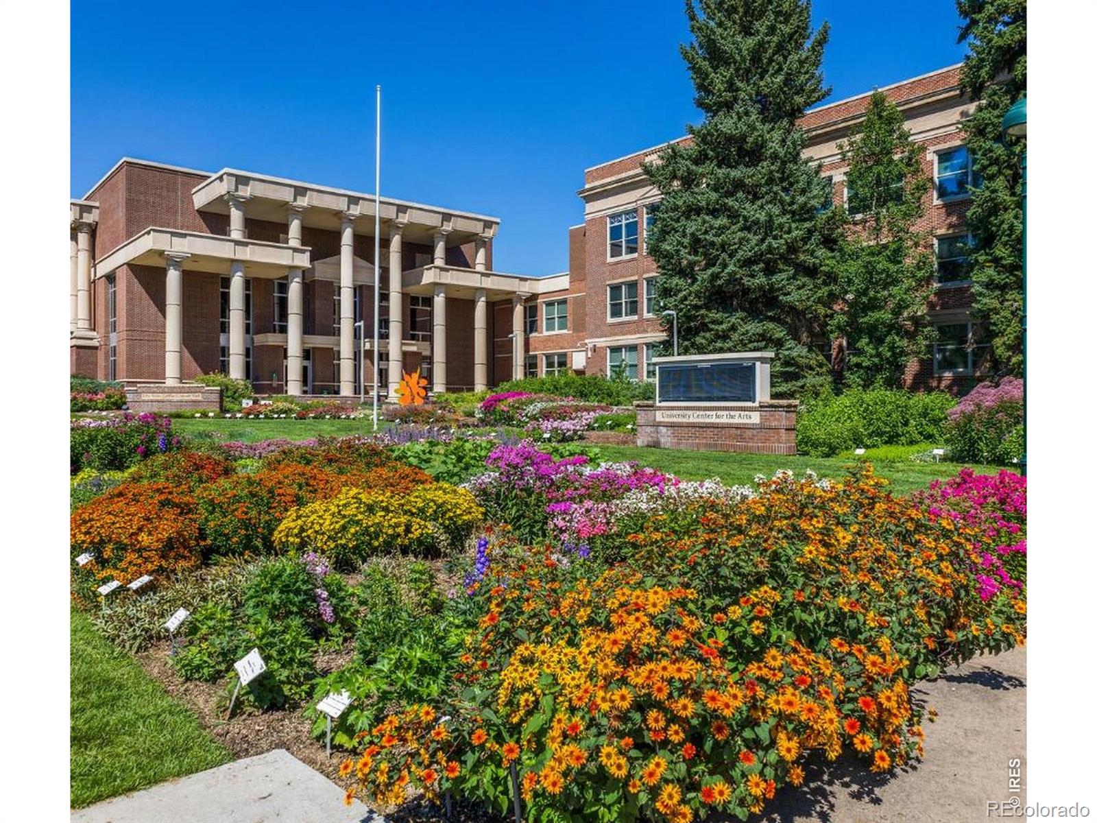 MLS Image #39 for 1014  andrews peak drive,fort collins, Colorado