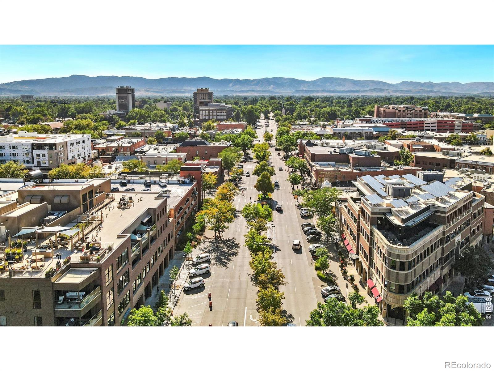 MLS Image #41 for 1014  andrews peak drive,fort collins, Colorado