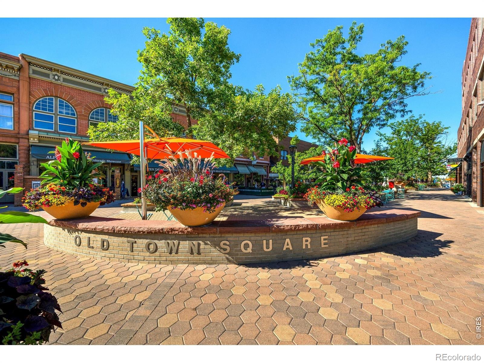 MLS Image #43 for 1014  andrews peak drive,fort collins, Colorado