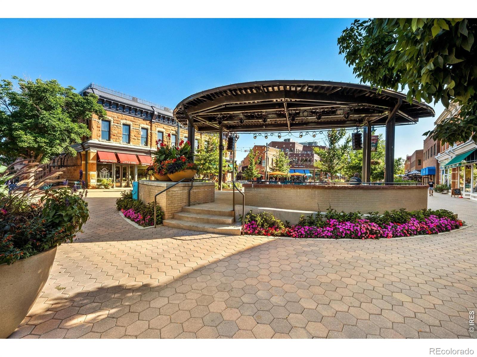 MLS Image #44 for 1014  andrews peak drive,fort collins, Colorado