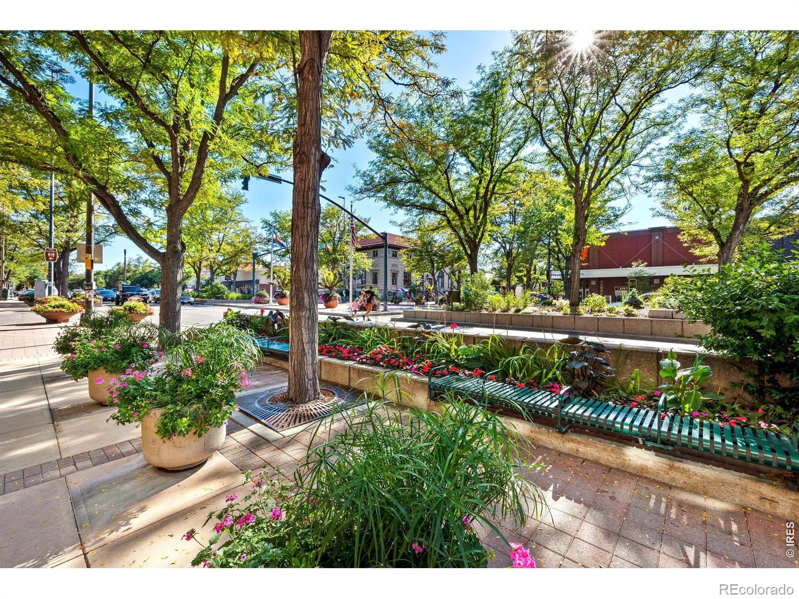 MLS Image #45 for 1014  andrews peak drive,fort collins, Colorado