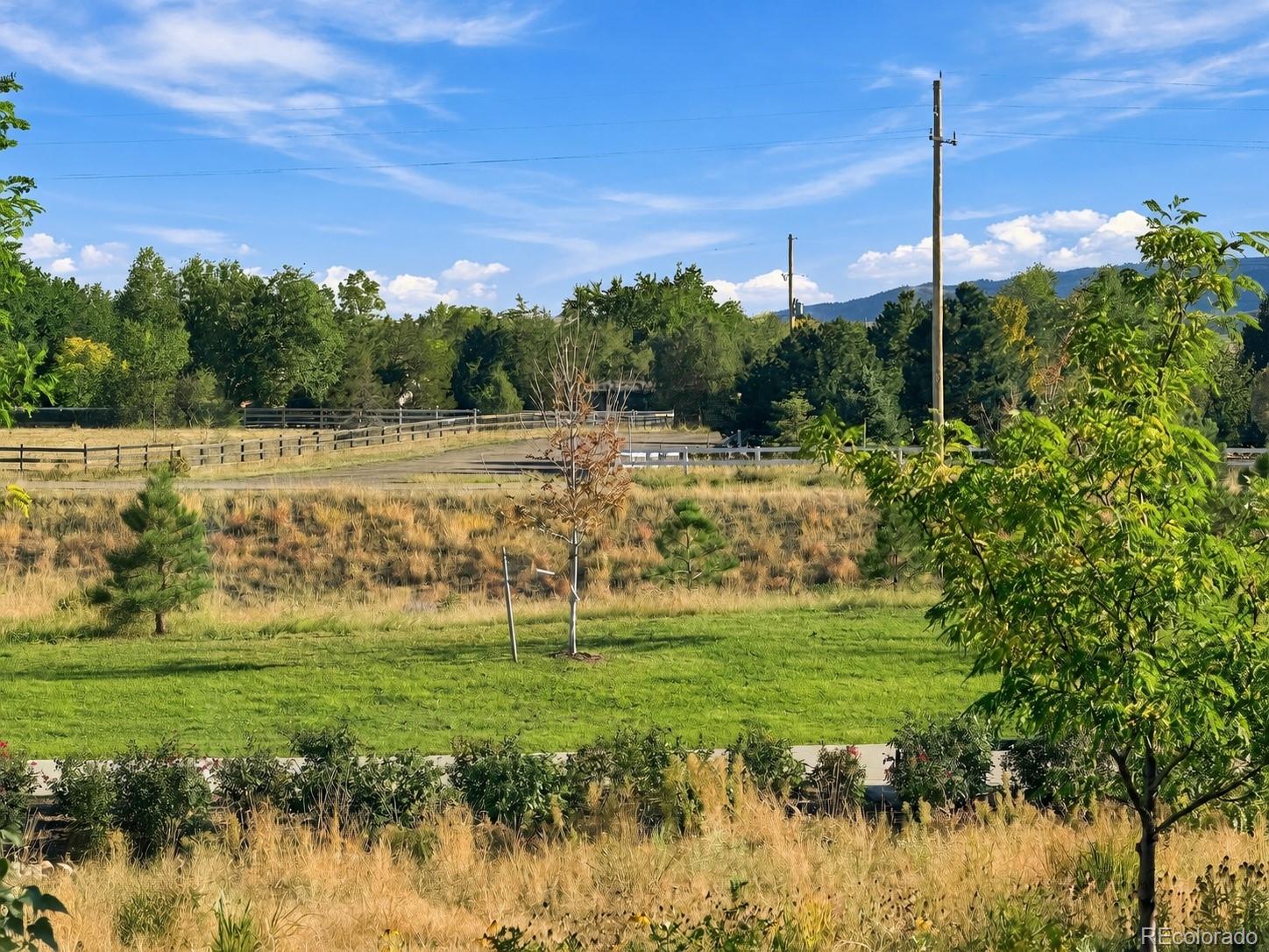 MLS Image #42 for 9240  star fall circle,littleton, Colorado