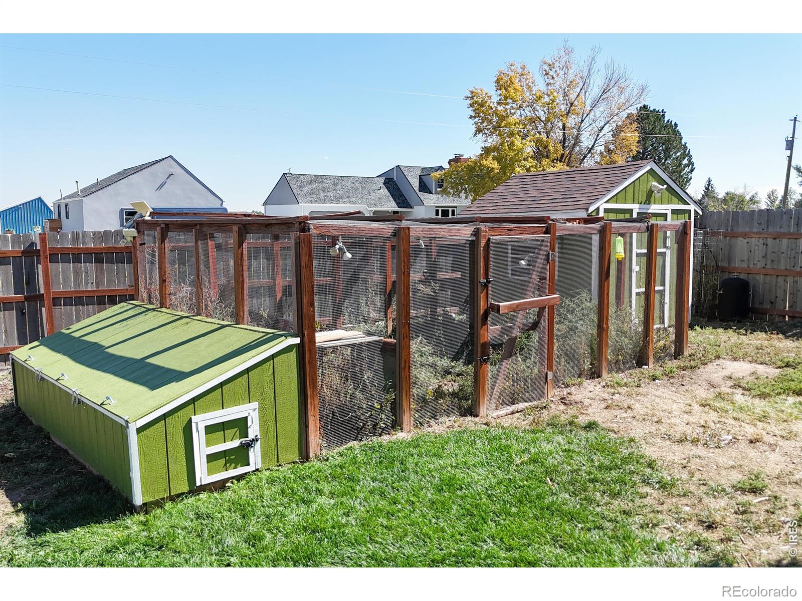 MLS Image #30 for 4101  scilla place,loveland, Colorado