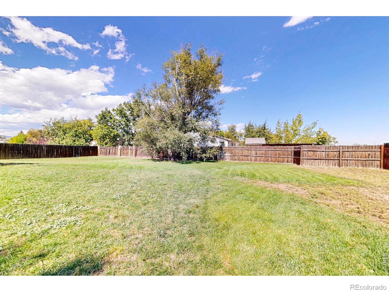 MLS Image #38 for 4101  scilla place,loveland, Colorado