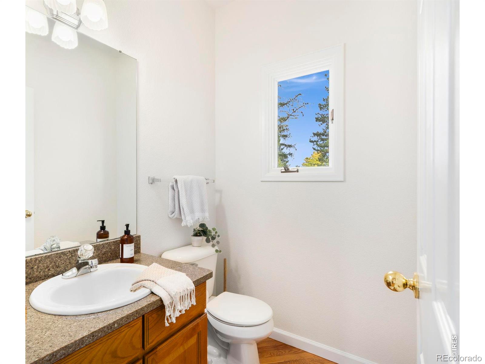 MLS Image #13 for 2612  fox run court,fort collins, Colorado