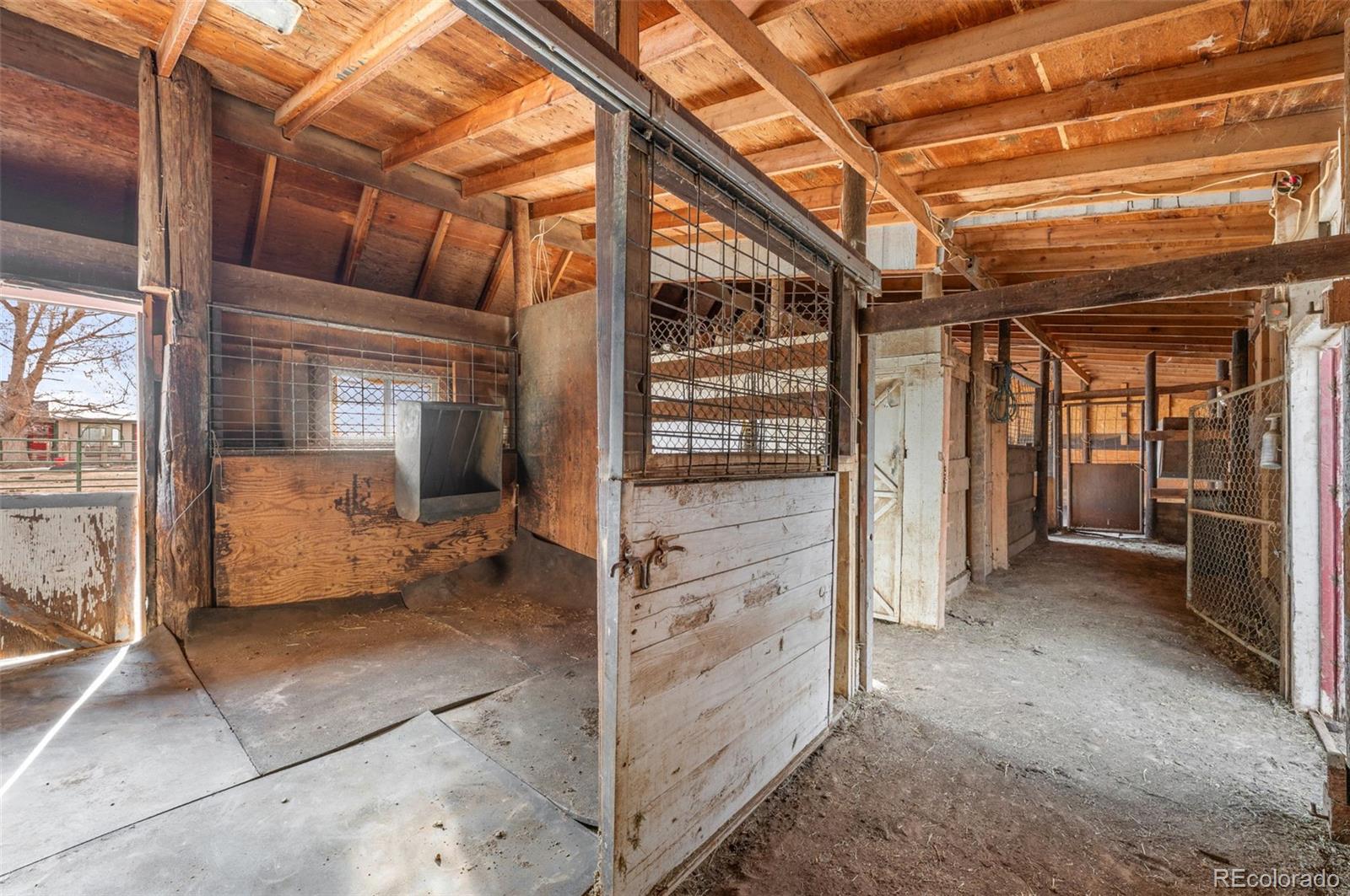 MLS Image #4 for 6263  laodicea road,longmont, Colorado