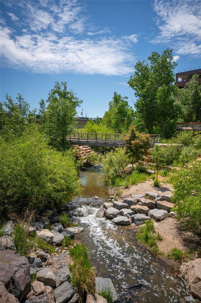 MLS Image #9 for 1925  grayside circle,castle rock, Colorado