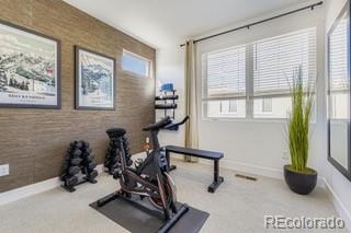 MLS Image #8 for 15573 w washburn drive,lakewood, Colorado