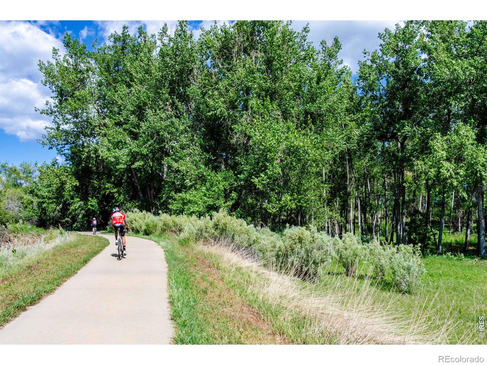 MLS Image #38 for 155 w cedar way,louisville, Colorado