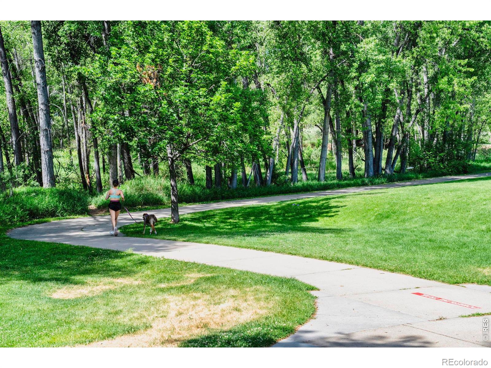 MLS Image #41 for 155 w cedar way,louisville, Colorado