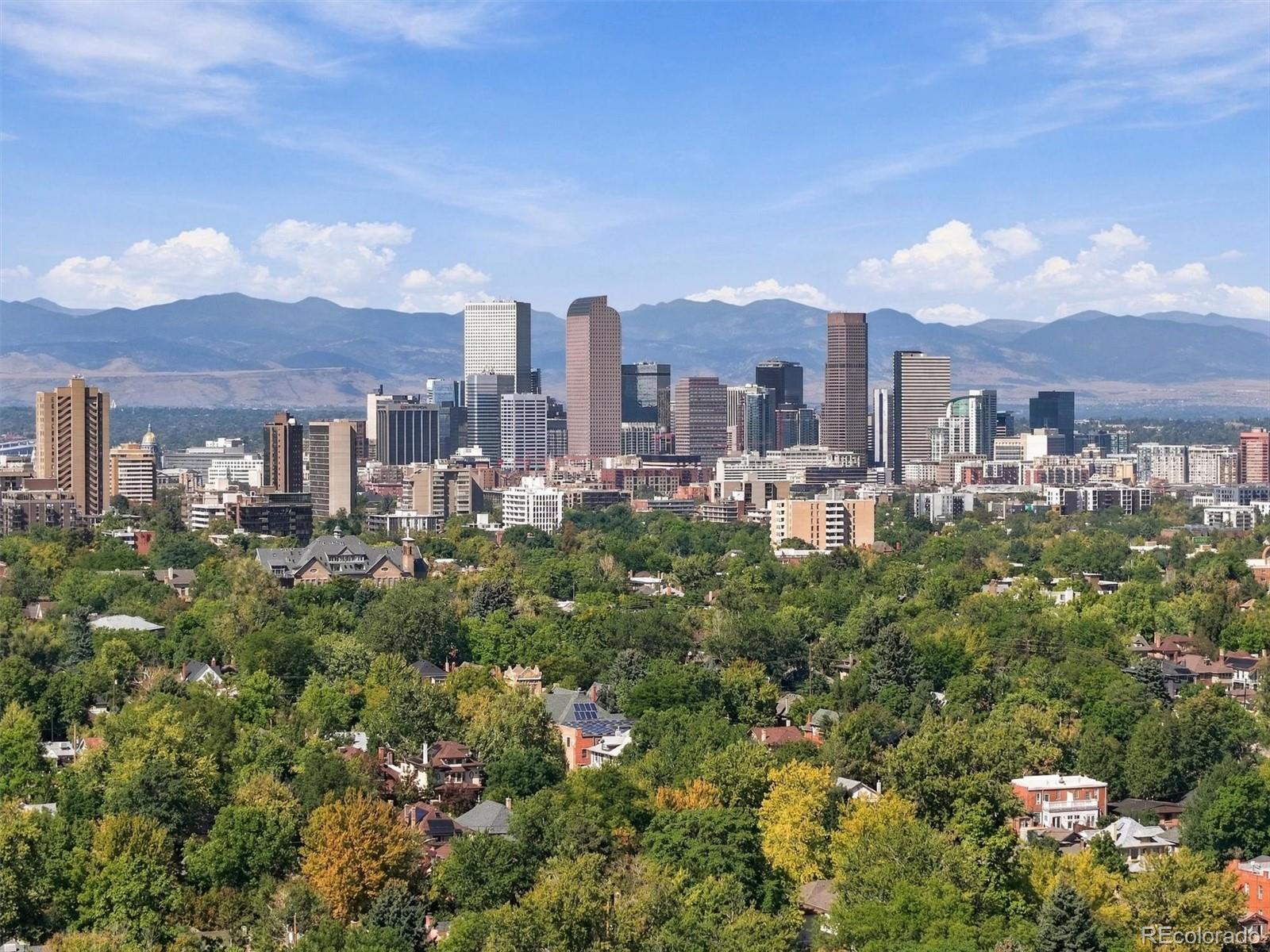 MLS Image #48 for 968  madison street,denver, Colorado