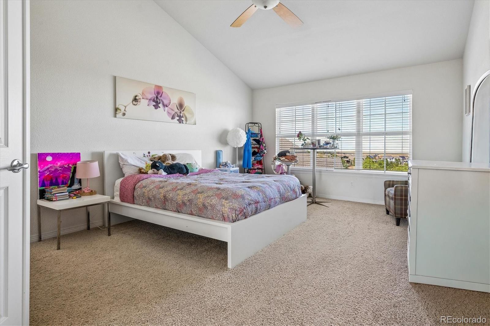MLS Image #26 for 6394 s millbrook way,aurora, Colorado