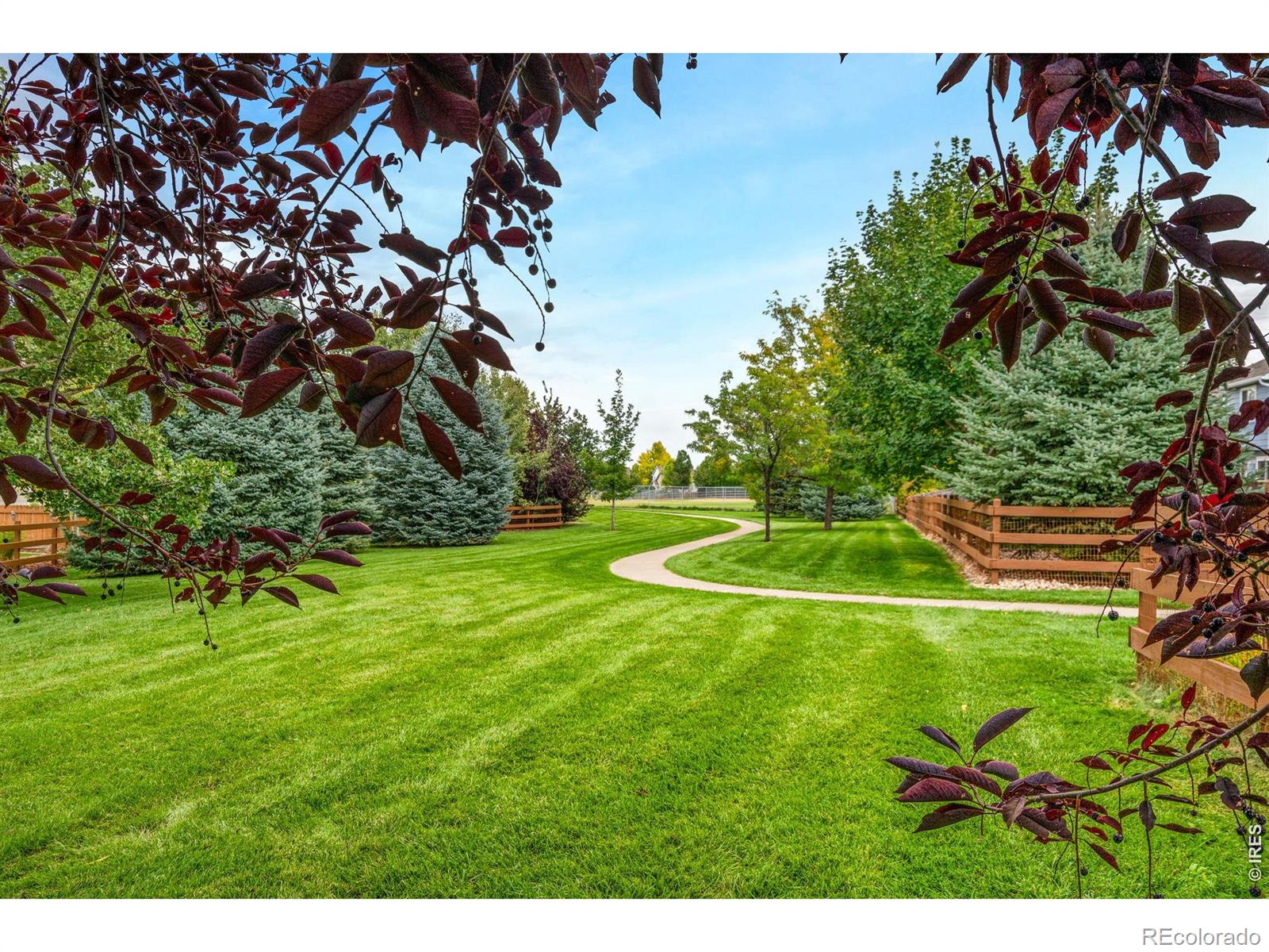 MLS Image #19 for 208  destini drive,fort collins, Colorado
