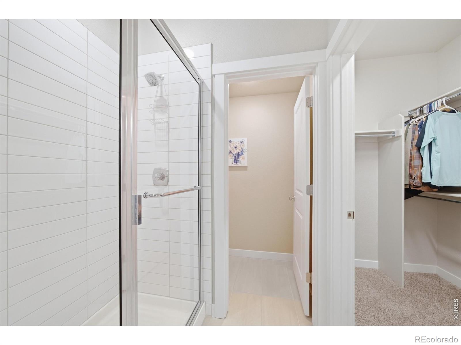 MLS Image #21 for 914  schlagel street,fort collins, Colorado