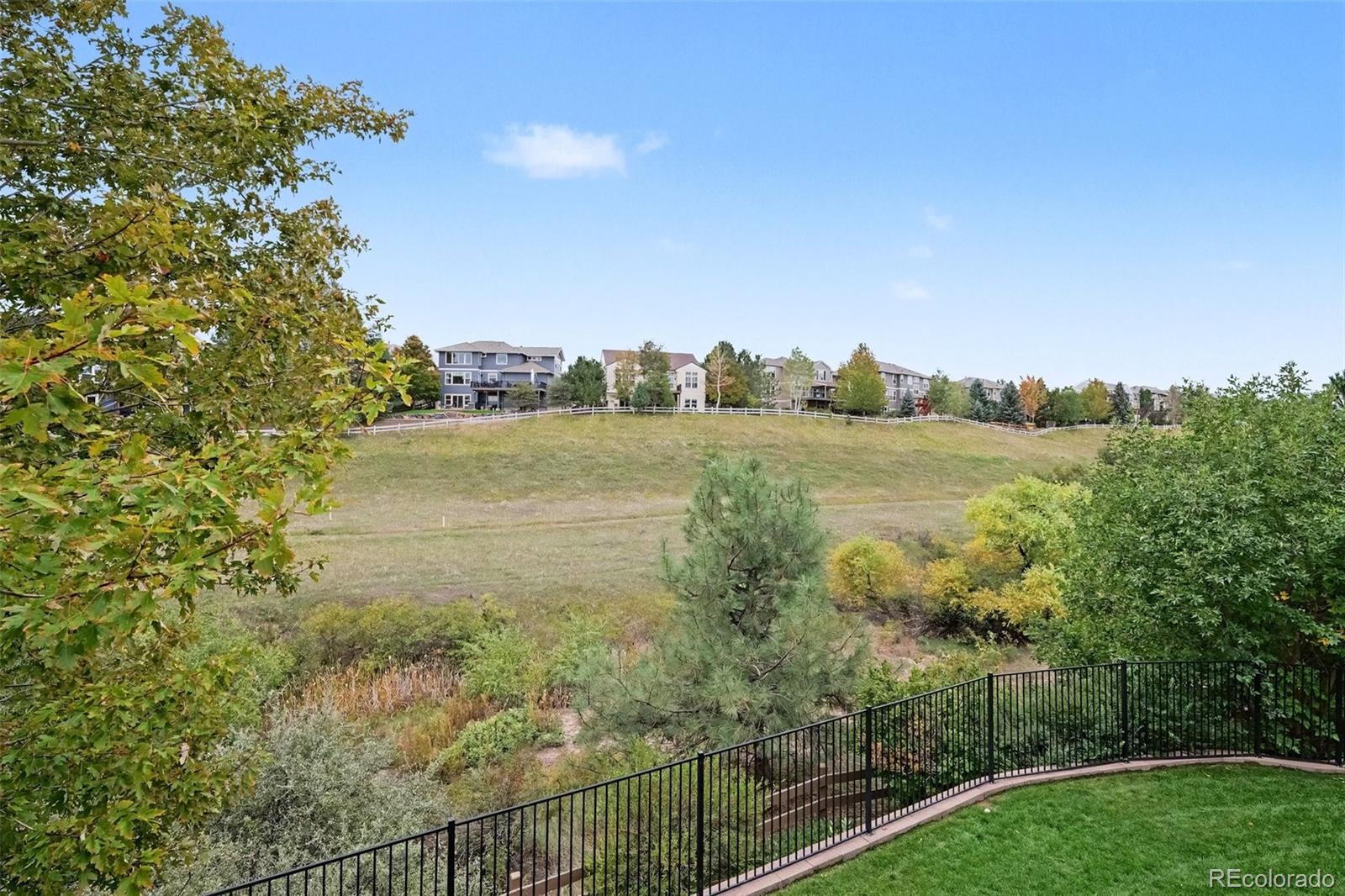 MLS Image #12 for 6950  esperanza drive,castle pines, Colorado