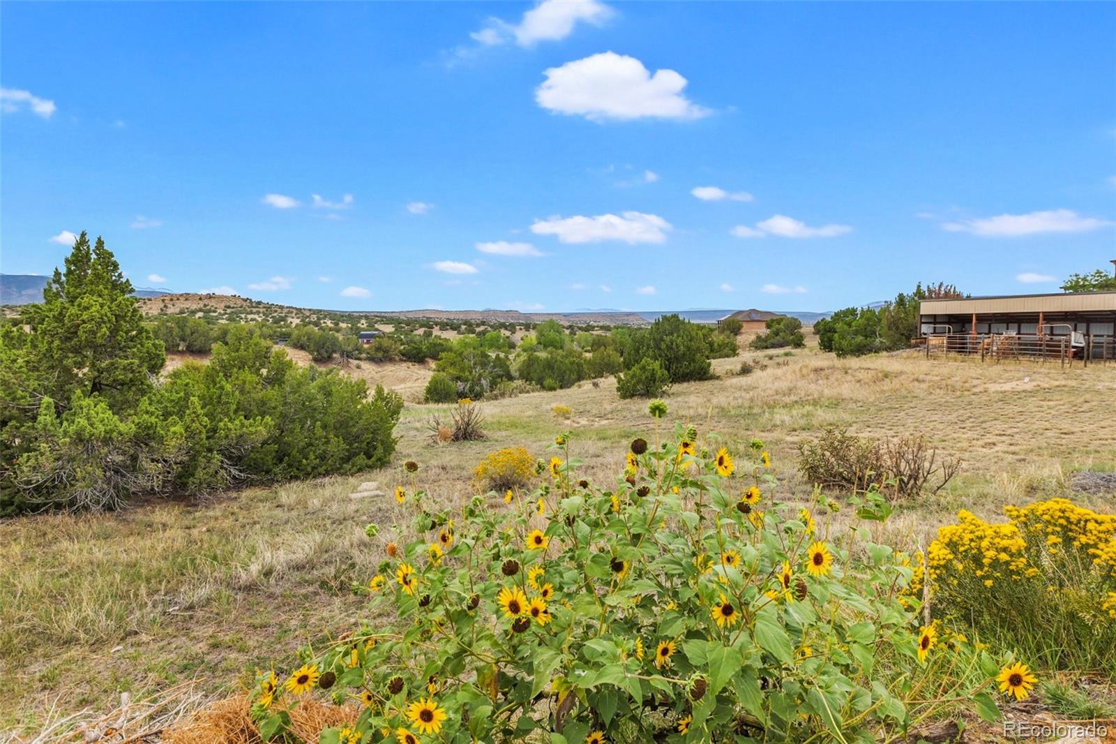 MLS Image #42 for 108  yucca avenue,florence, Colorado