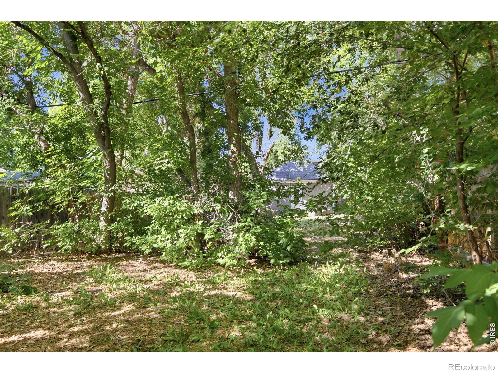 MLS Image #27 for 316 n grant avenue,fort collins, Colorado