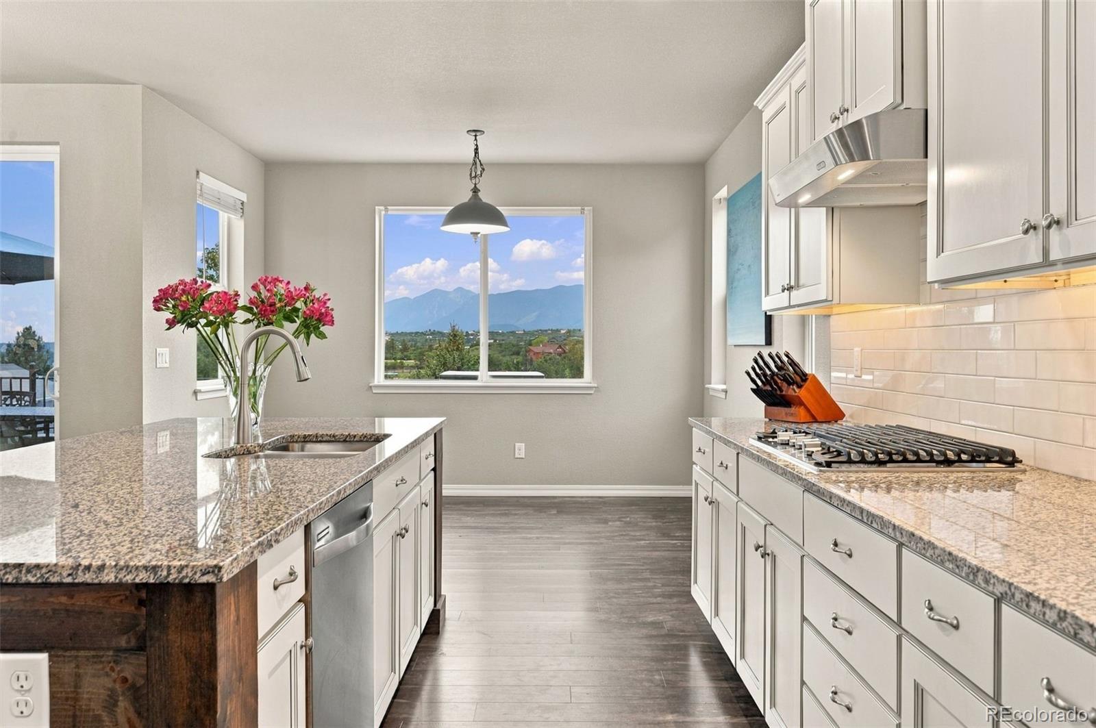 MLS Image #19 for 17297  leisure lake drive,monument, Colorado