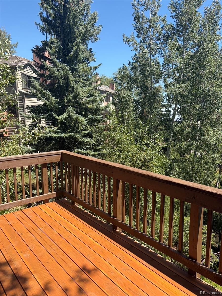 MLS Image #14 for 774  ridgeside drive,golden, Colorado
