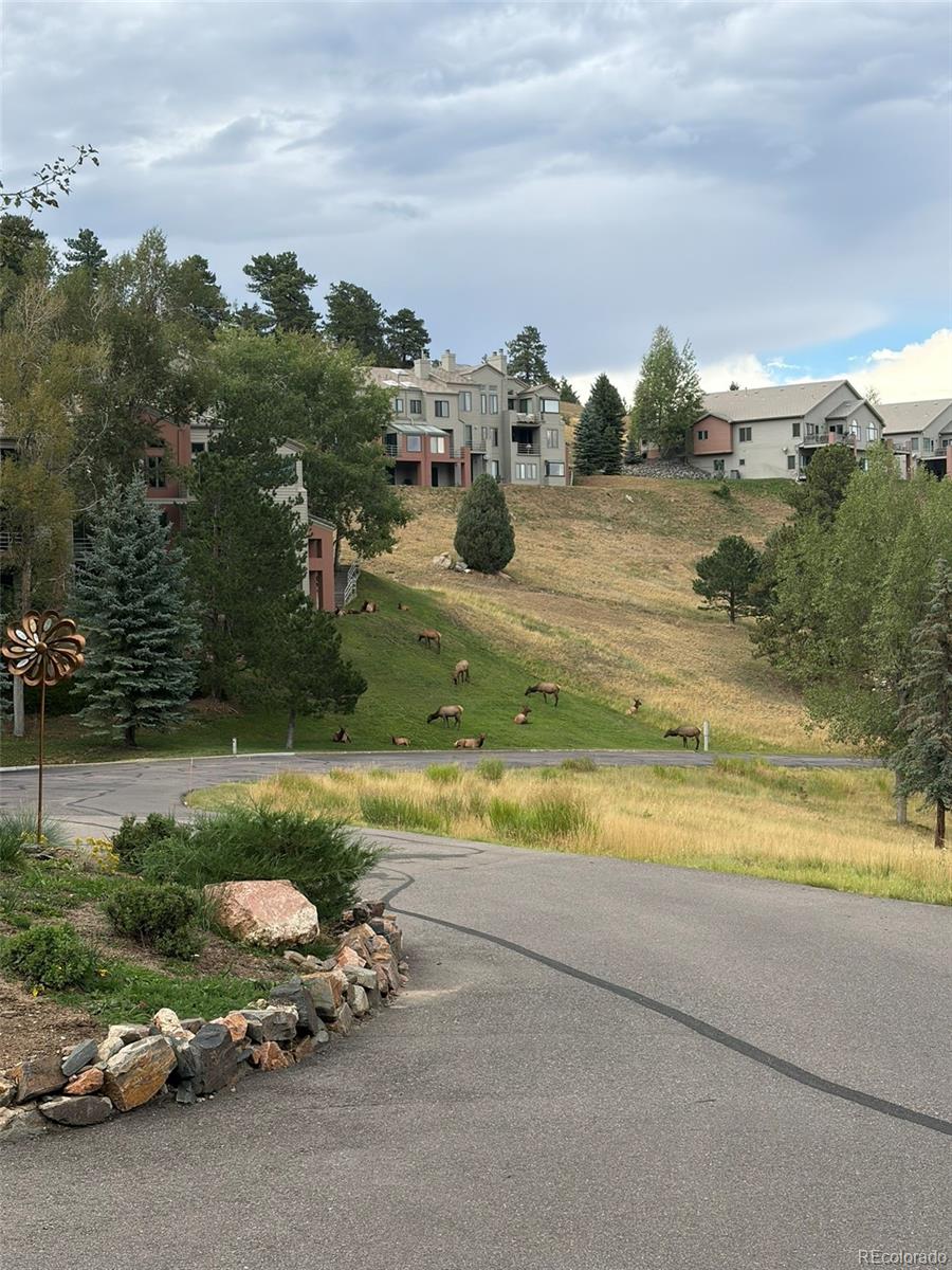 MLS Image #37 for 774  ridgeside drive,golden, Colorado