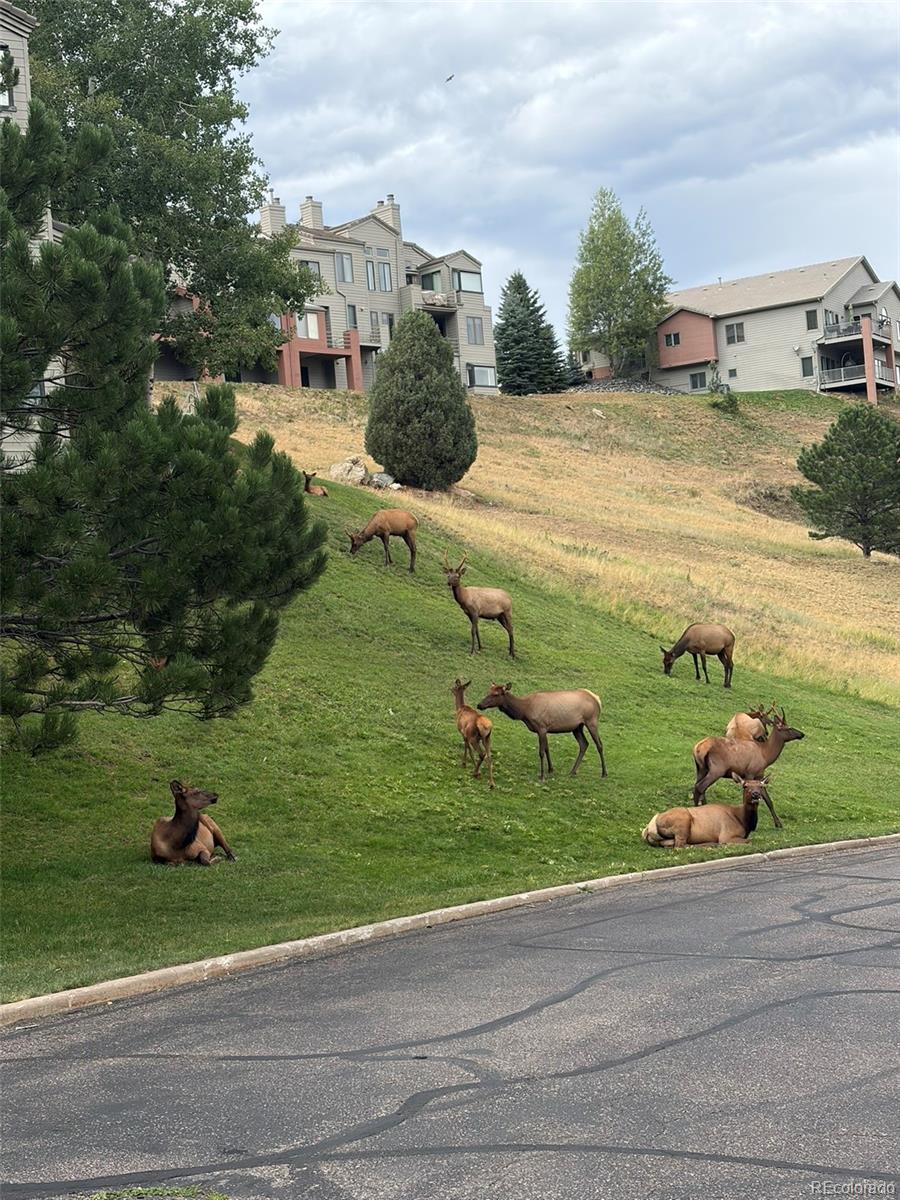 MLS Image #38 for 774  ridgeside drive,golden, Colorado