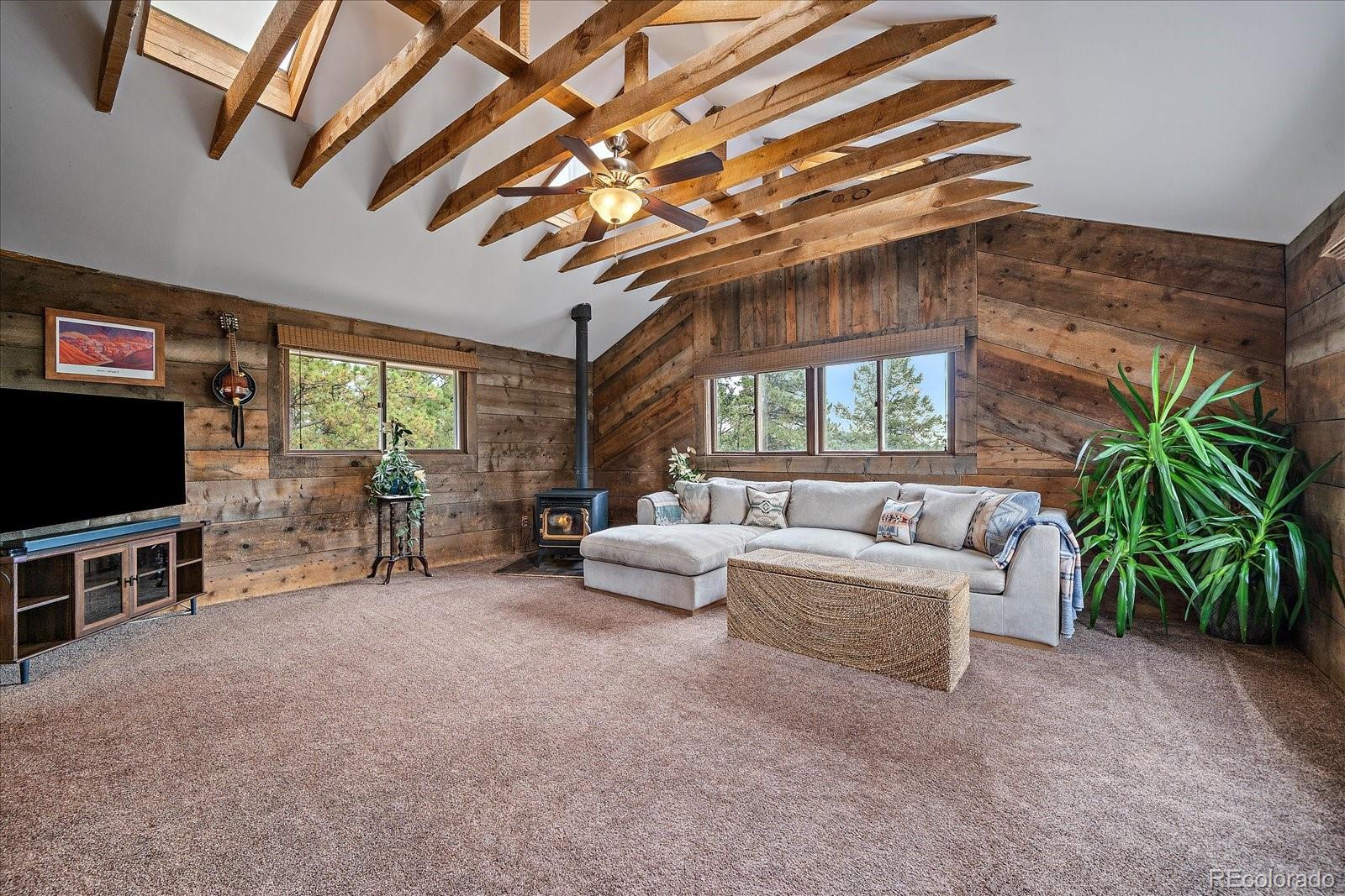 MLS Image #16 for 138  fawn drive,bailey, Colorado