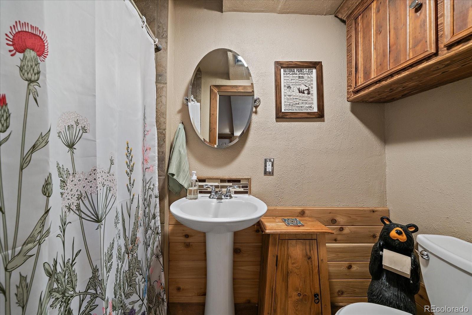 MLS Image #29 for 138  fawn drive,bailey, Colorado