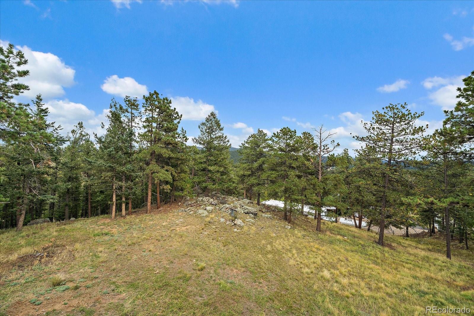 MLS Image #37 for 138  fawn drive,bailey, Colorado