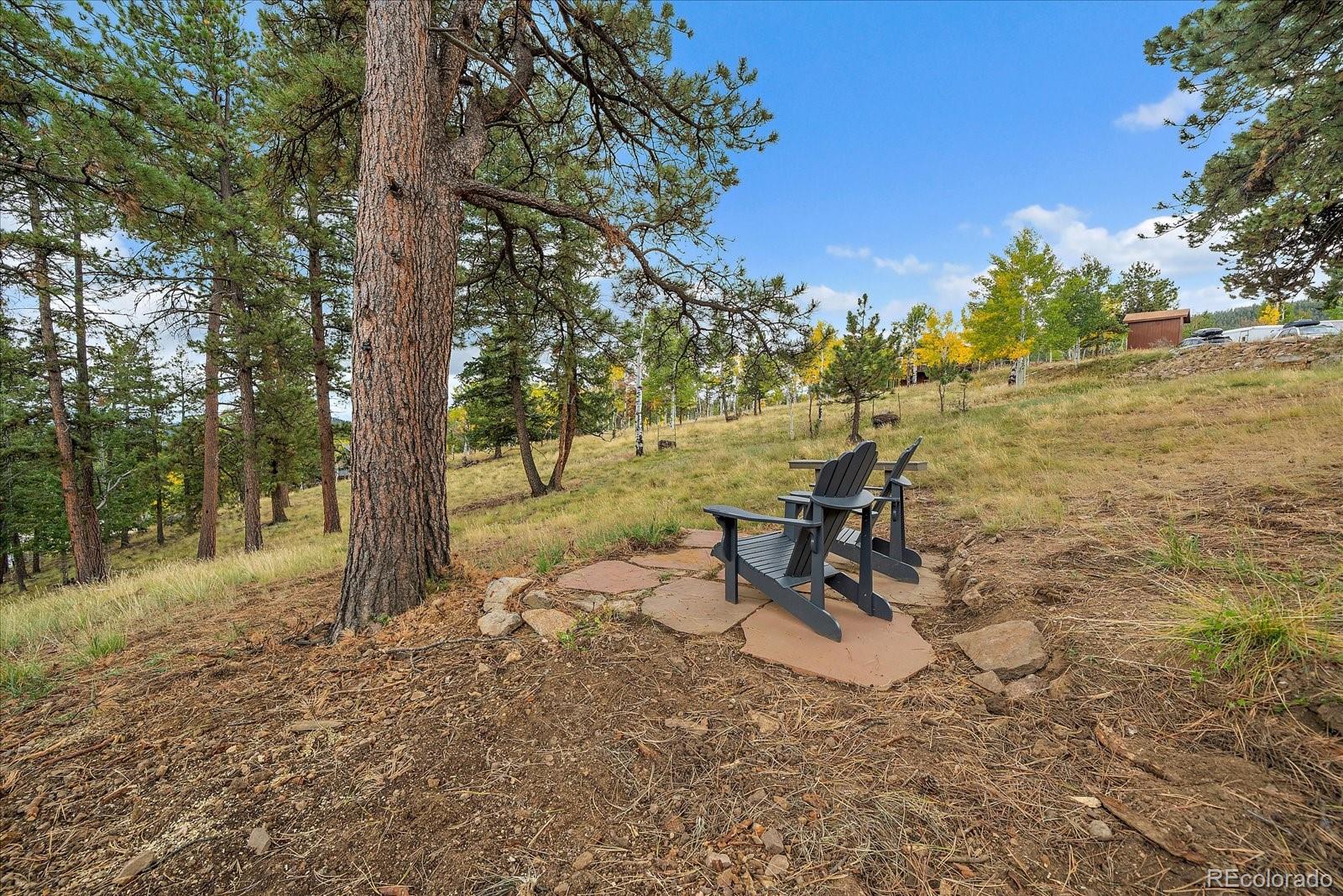 MLS Image #43 for 138  fawn drive,bailey, Colorado