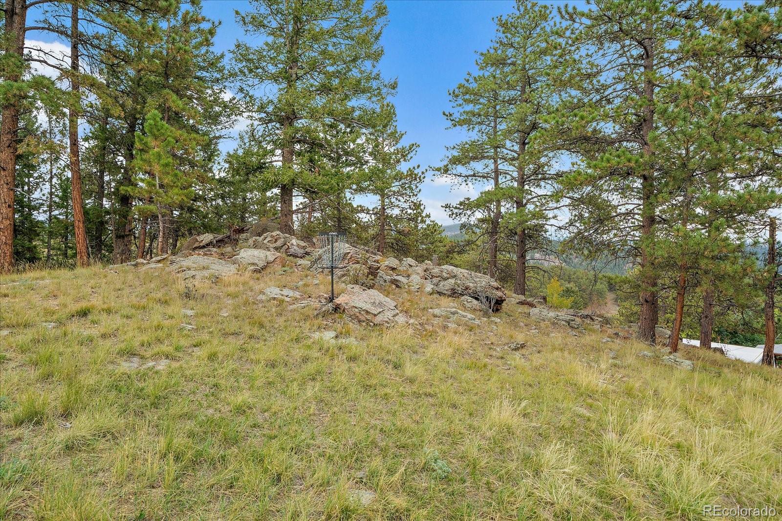 MLS Image #44 for 138  fawn drive,bailey, Colorado