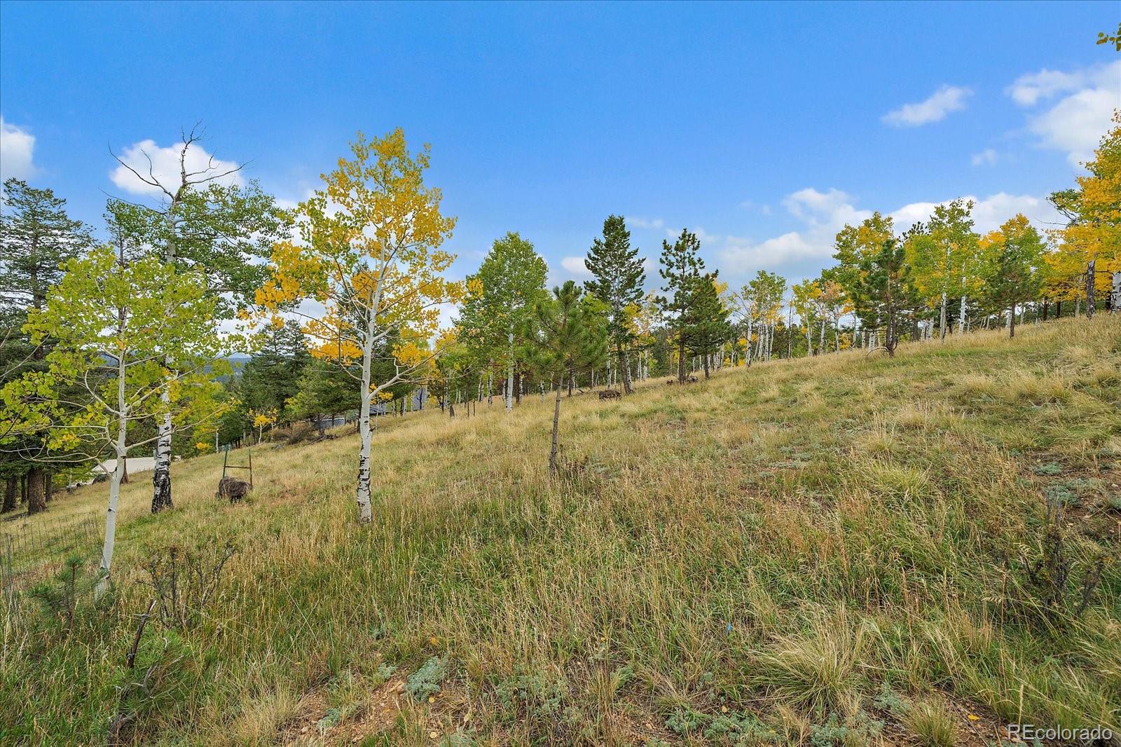 MLS Image #45 for 138  fawn drive,bailey, Colorado