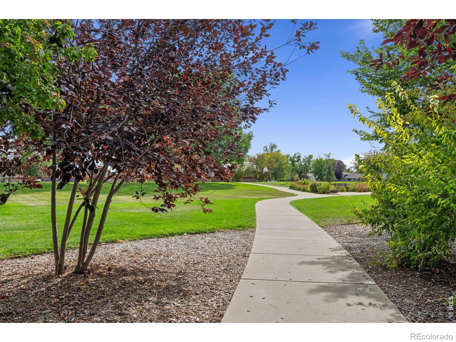 MLS Image #30 for 2137  steele street,longmont, Colorado