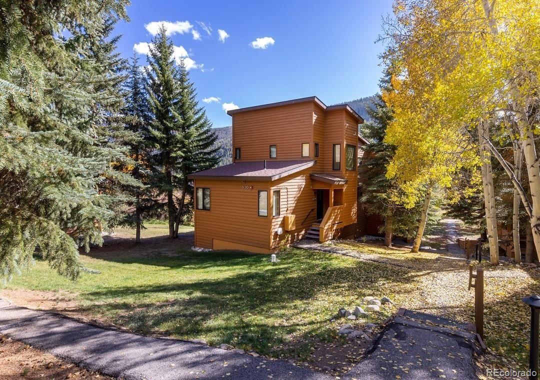 MLS Image #39 for 500  tennis club road,keystone, Colorado
