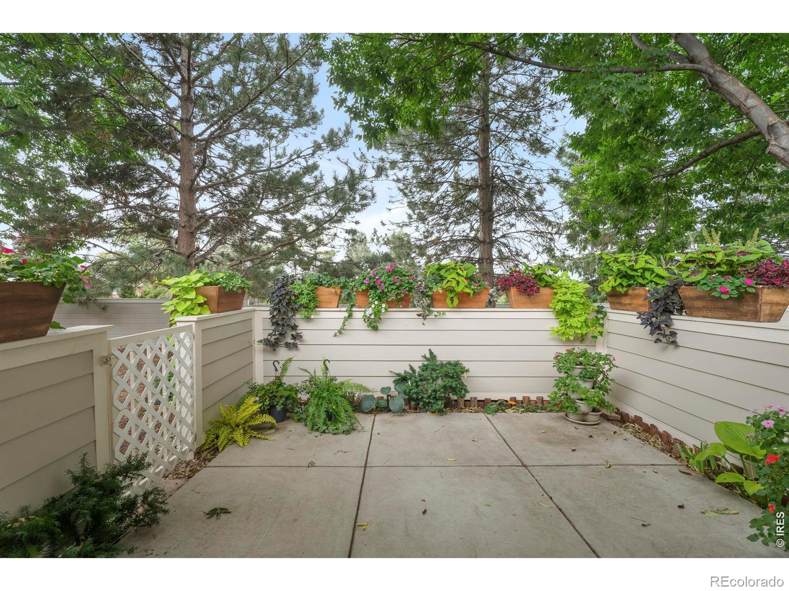 MLS Image #25 for 959  hover ridge circle,longmont, Colorado
