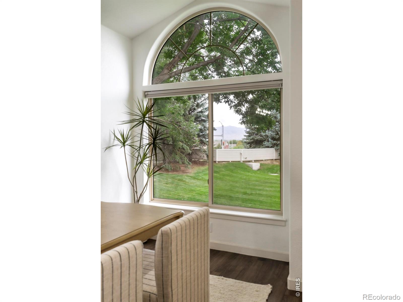 MLS Image #9 for 959  hover ridge circle,longmont, Colorado