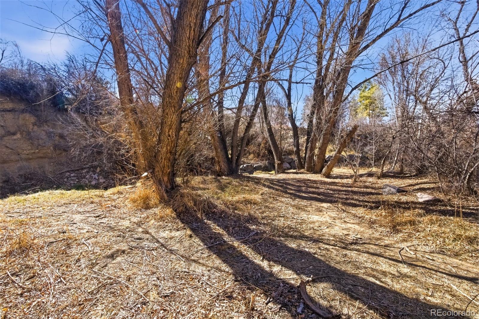 MLS Image #9 for 347 w rafferty gardens avenue,littleton, Colorado
