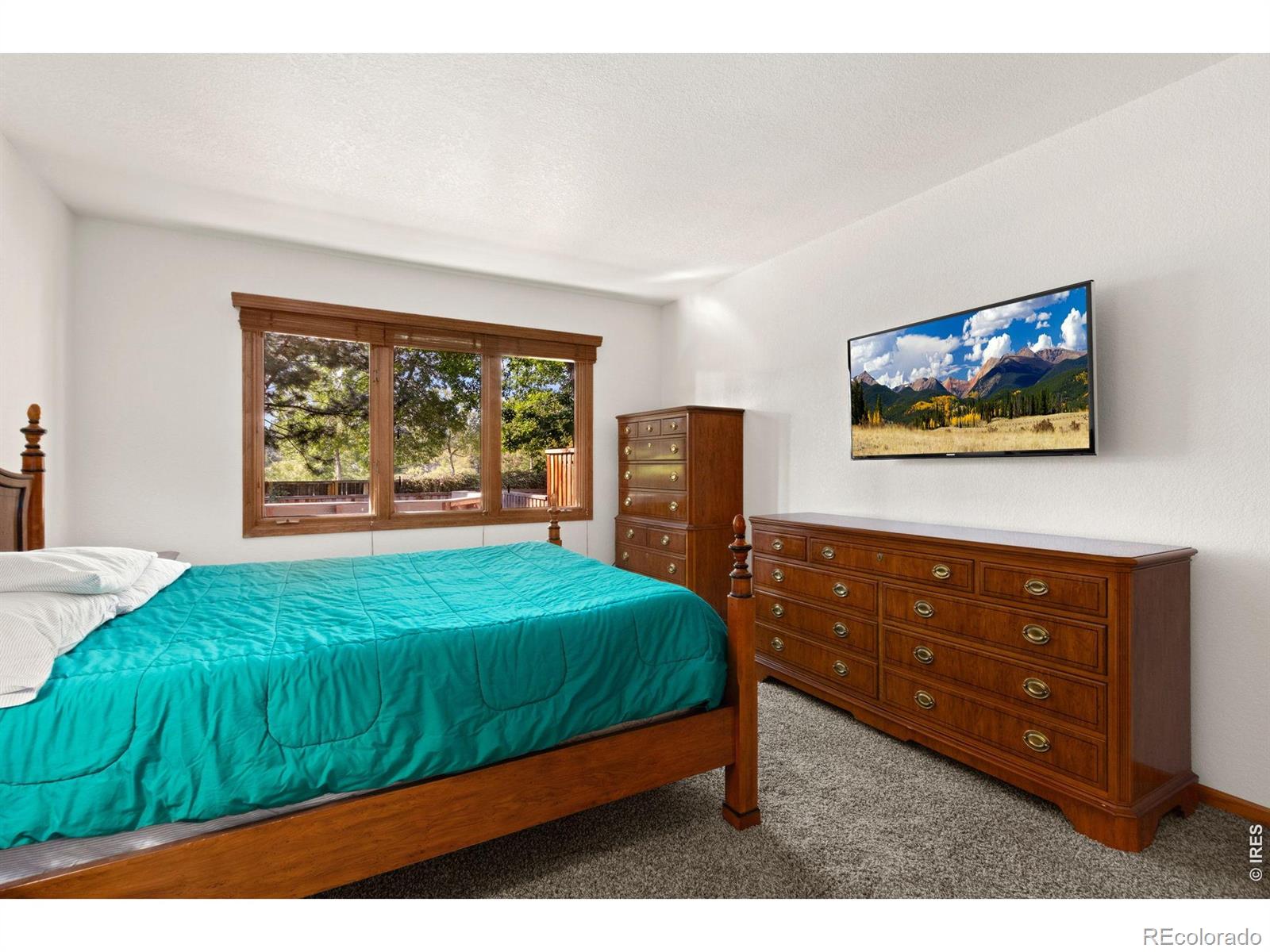 MLS Image #12 for 1112  spanish oak court,fort collins, Colorado