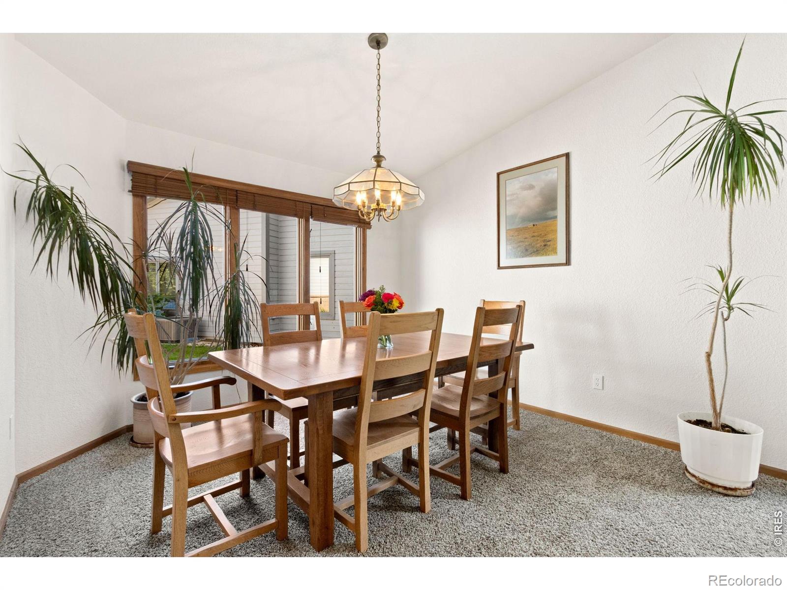 MLS Image #6 for 1112  spanish oak court,fort collins, Colorado