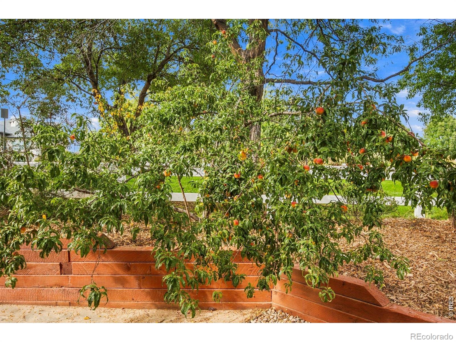 MLS Image #45 for 5586  stone church court,loveland, Colorado