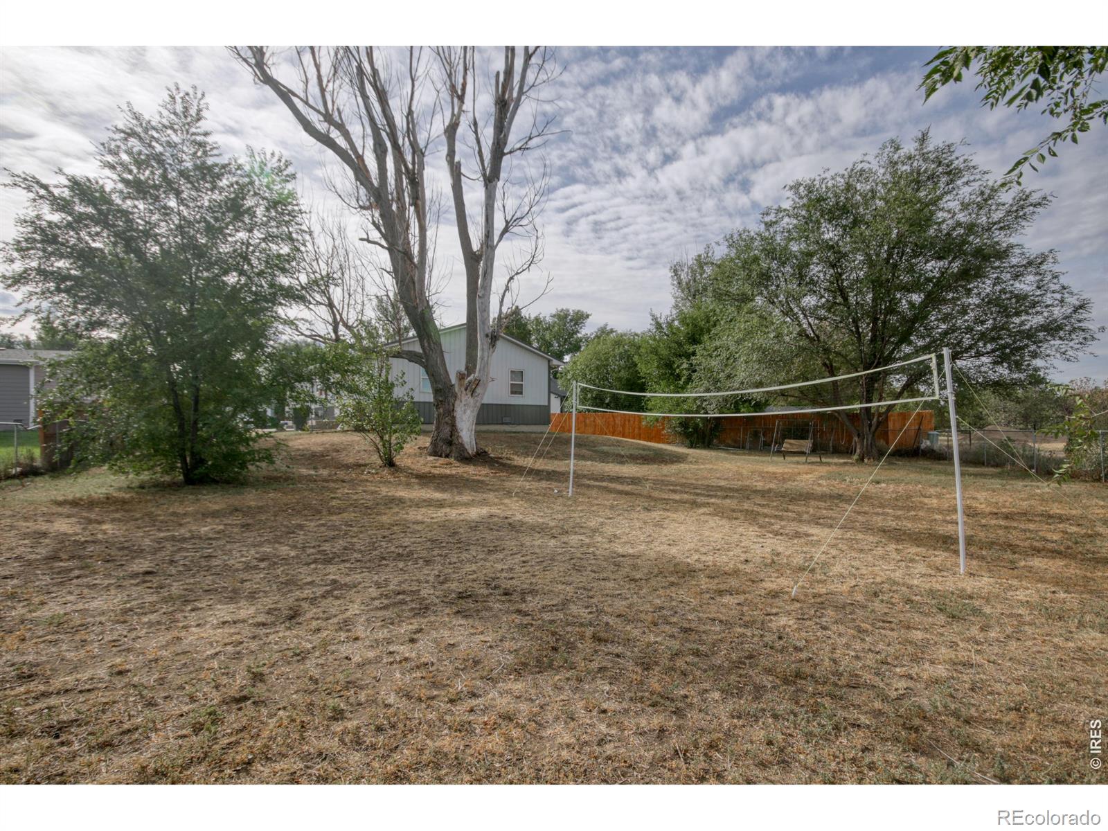 MLS Image #24 for 1057  williams street,brush, Colorado
