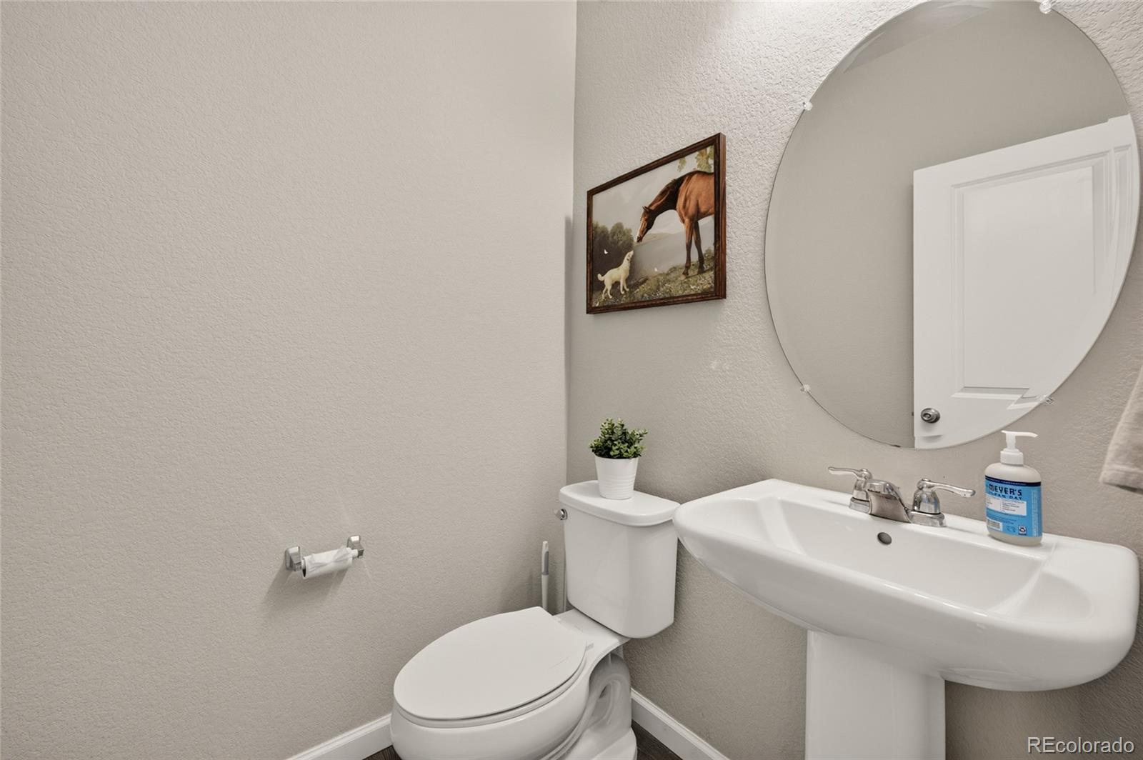 MLS Image #3 for 3412  goldfield way,castle rock, Colorado
