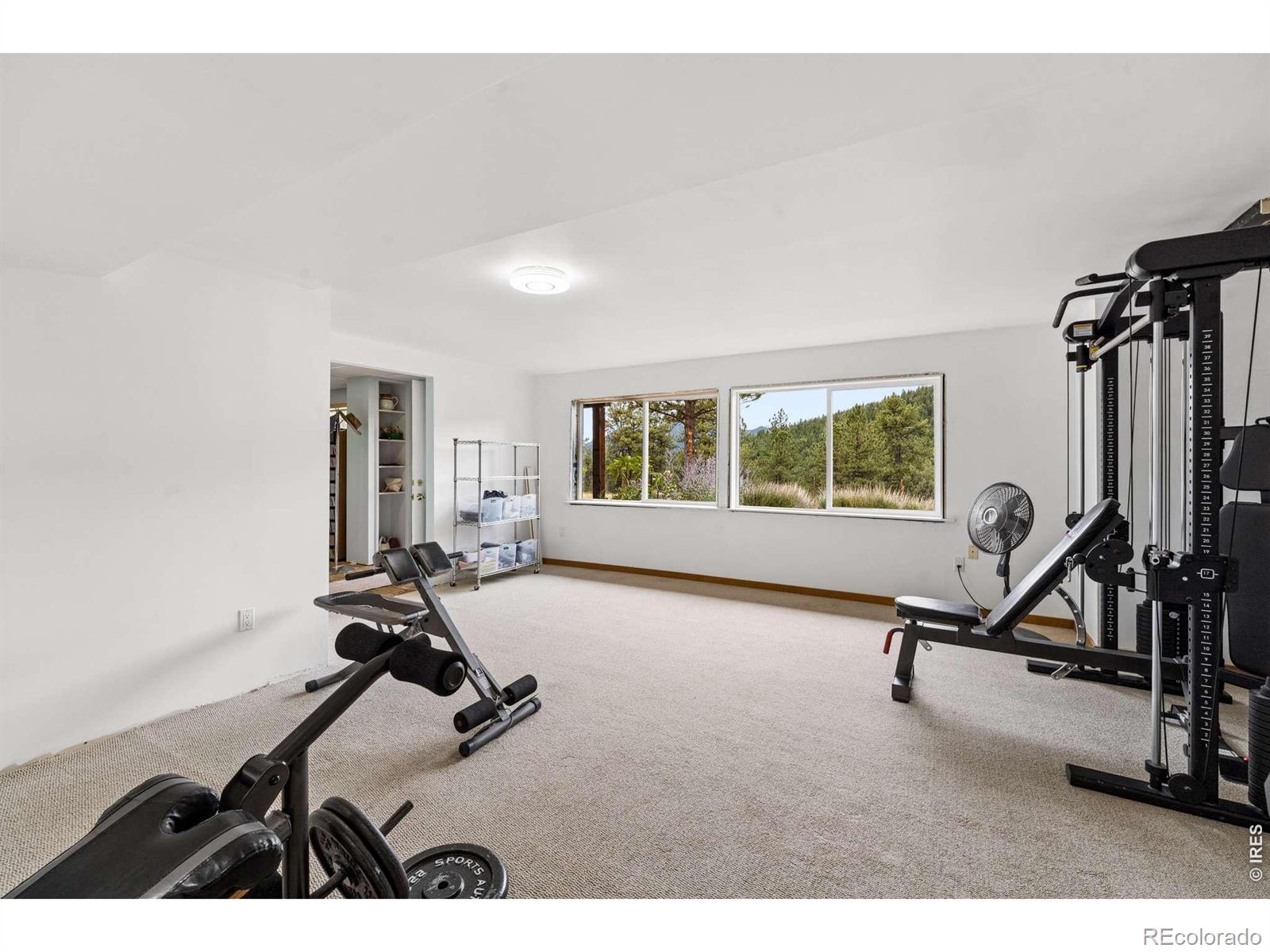 MLS Image #16 for 936  pika road,boulder, Colorado