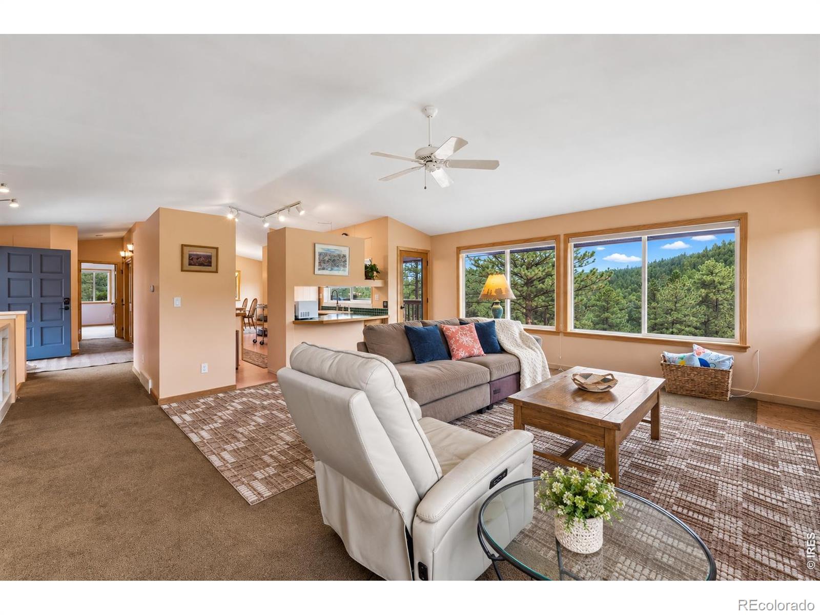 MLS Image #2 for 936  pika road,boulder, Colorado