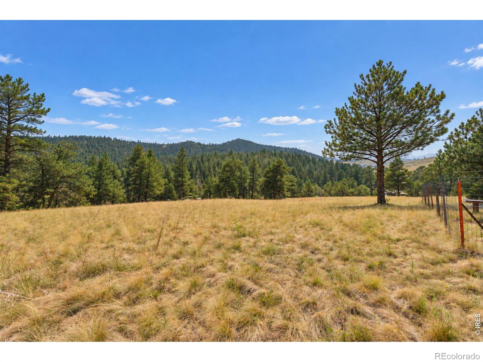 MLS Image #23 for 936  pika road,boulder, Colorado