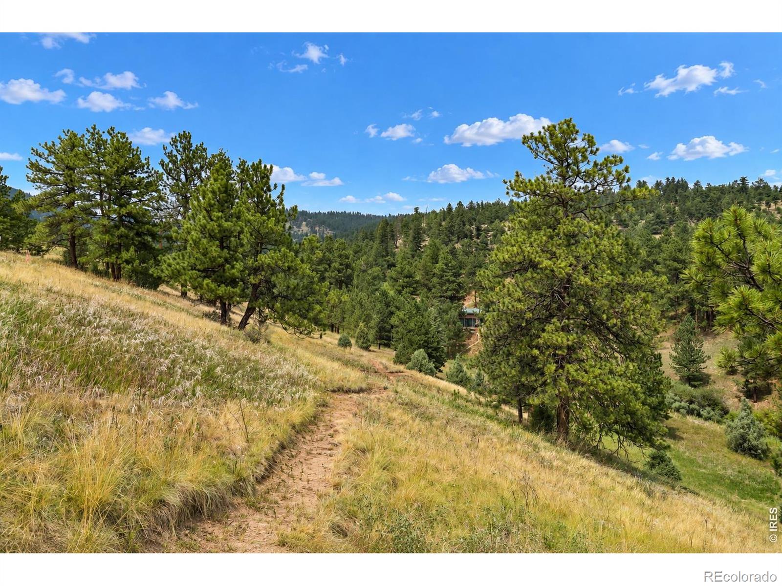 MLS Image #24 for 936  pika road,boulder, Colorado